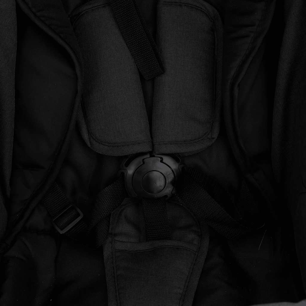 Poussette 2-en-1 Anthracite Acier