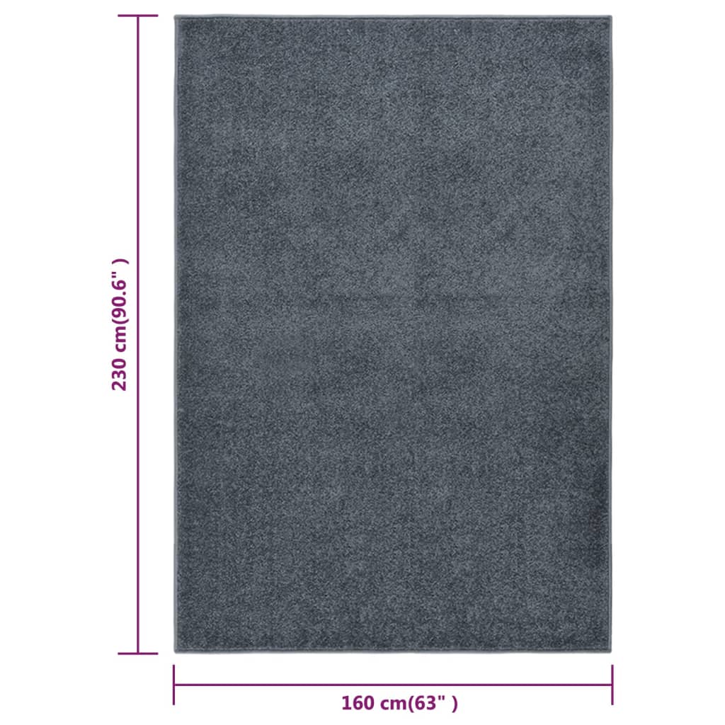 Tapis à poils courts 160x230 cm Anthracite