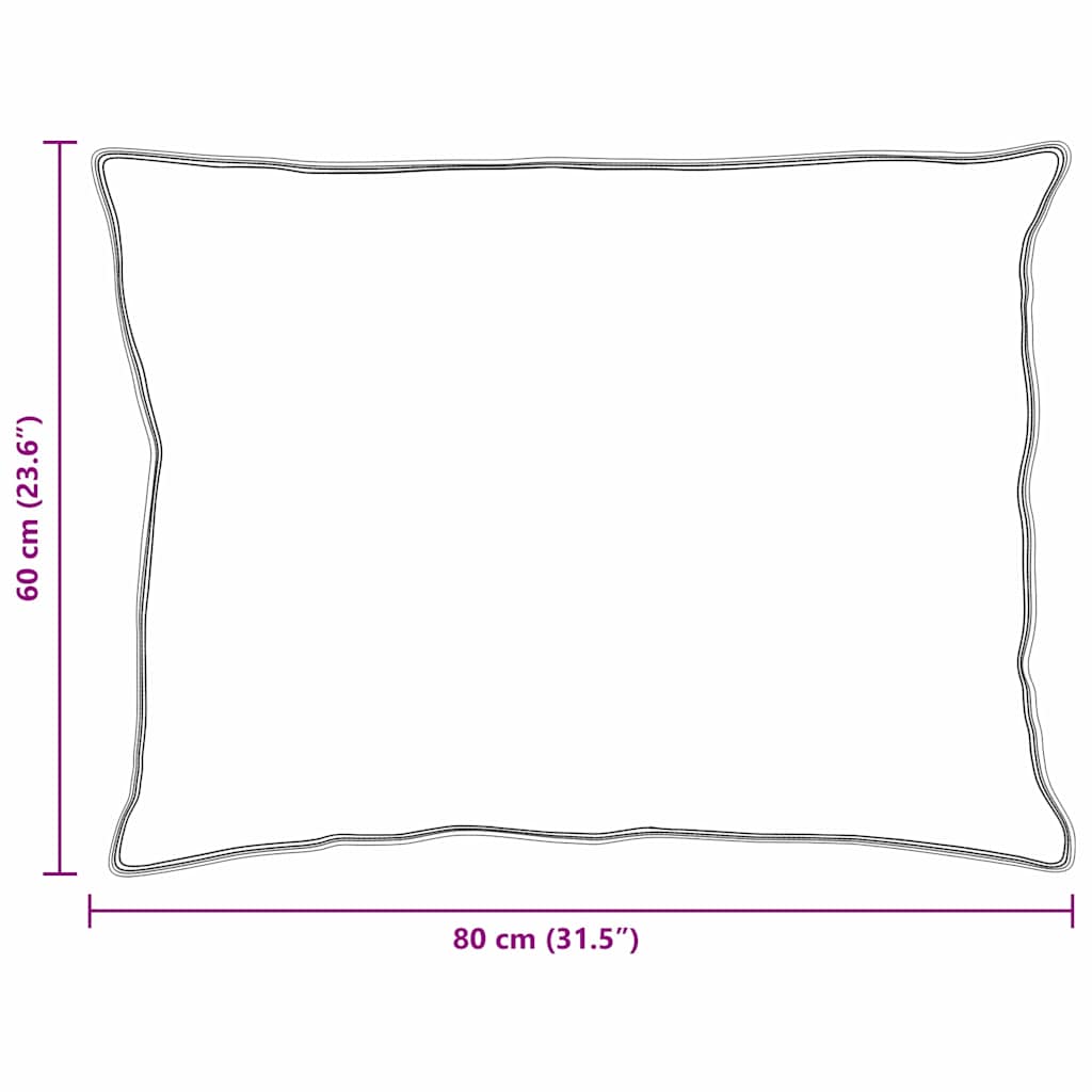 Pillows with pillow 2 pcs White 60 x 80 cm Feather