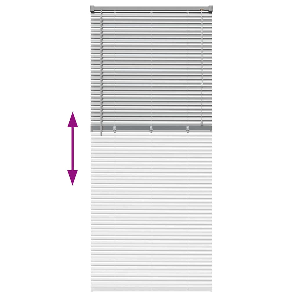 Slat Blinds Silver 175 x 70 cm Aluminium