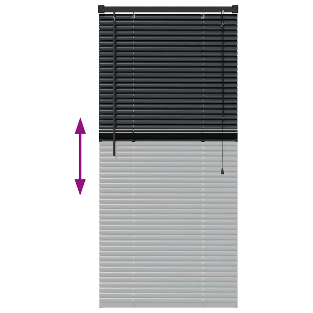 Venetian Blinds Black 60 x 2.5 x 130 cm Aluminum