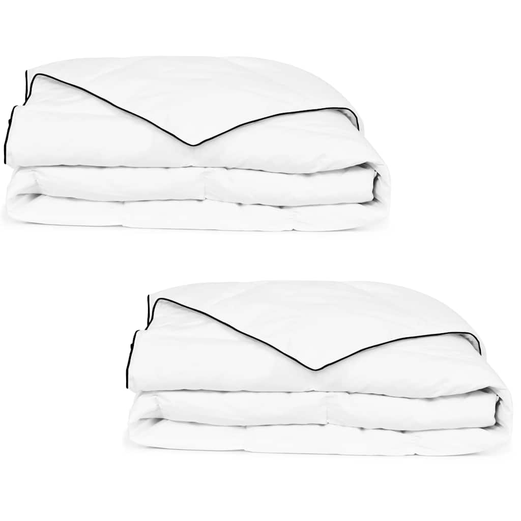 Couette d'hiver en duvet 2 pces 135x200 cm