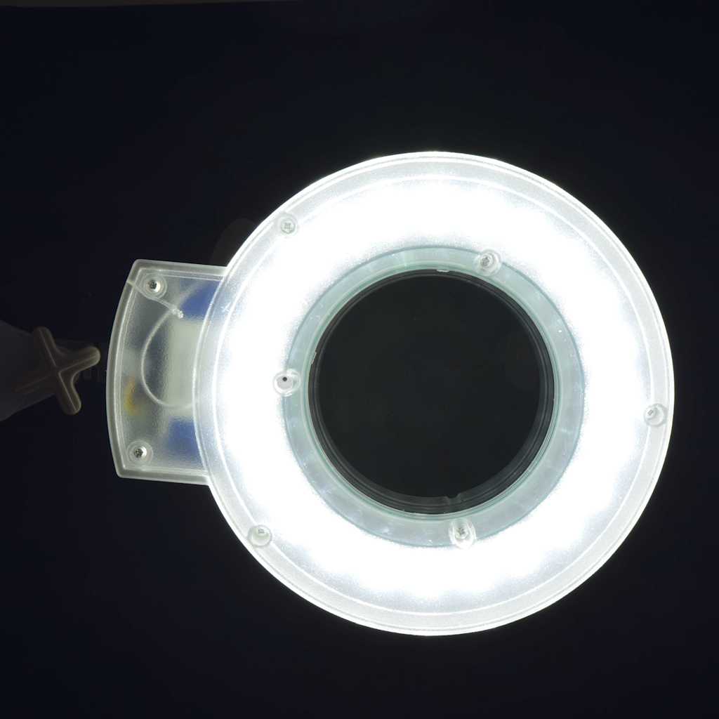 Magnifier lamp
