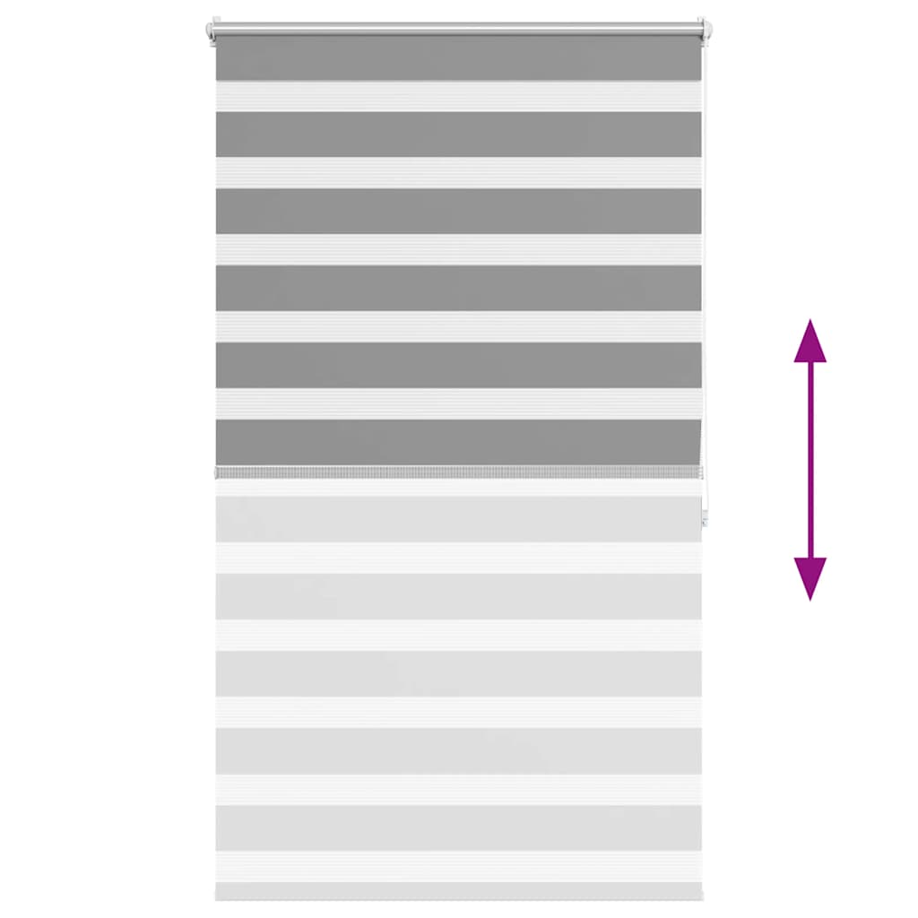 Store duo 100,9 x 175 cm, largeur de tissu 96,7 cm, gris