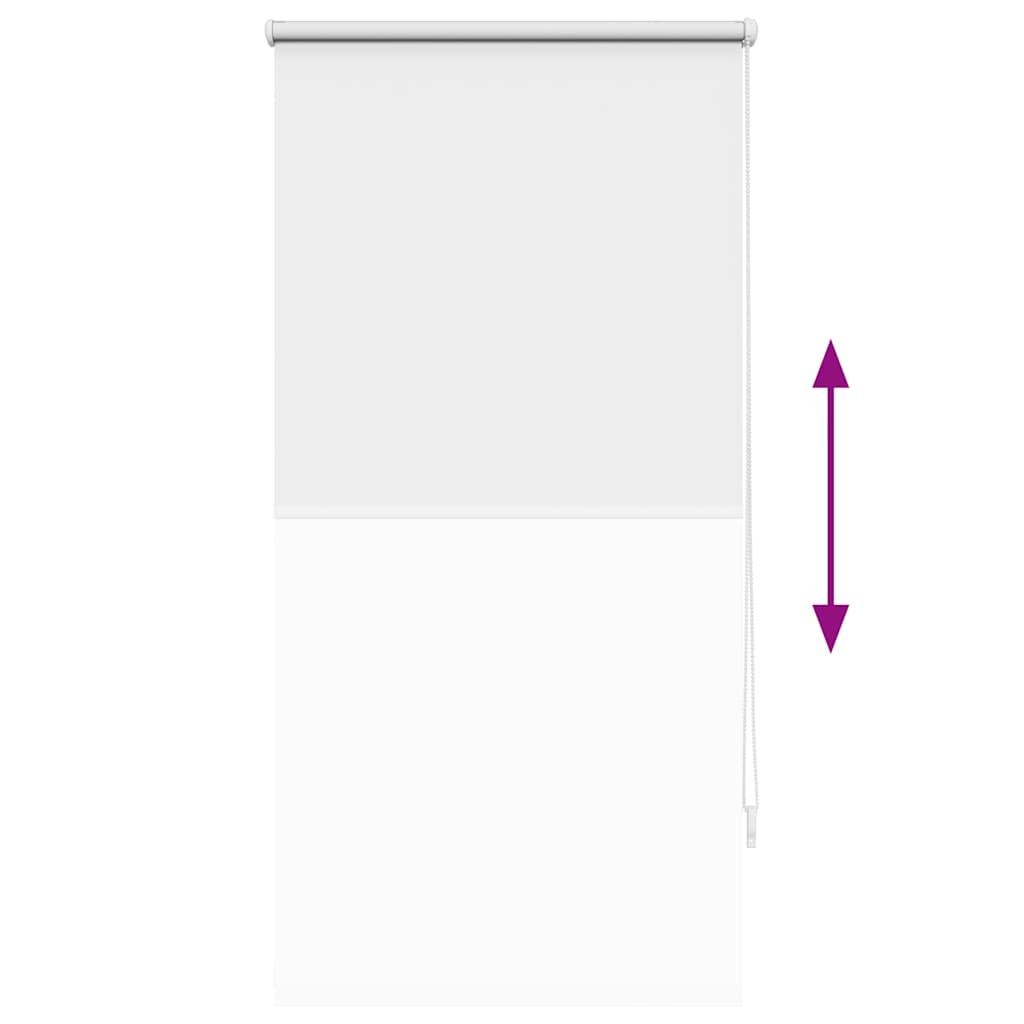 Blackout blind 64.4 x 120 cm, fabric width 60 cm, white