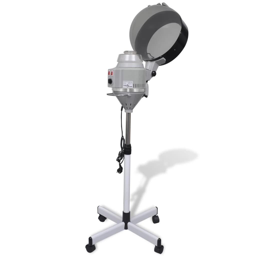 Hair Steamer on Wheels