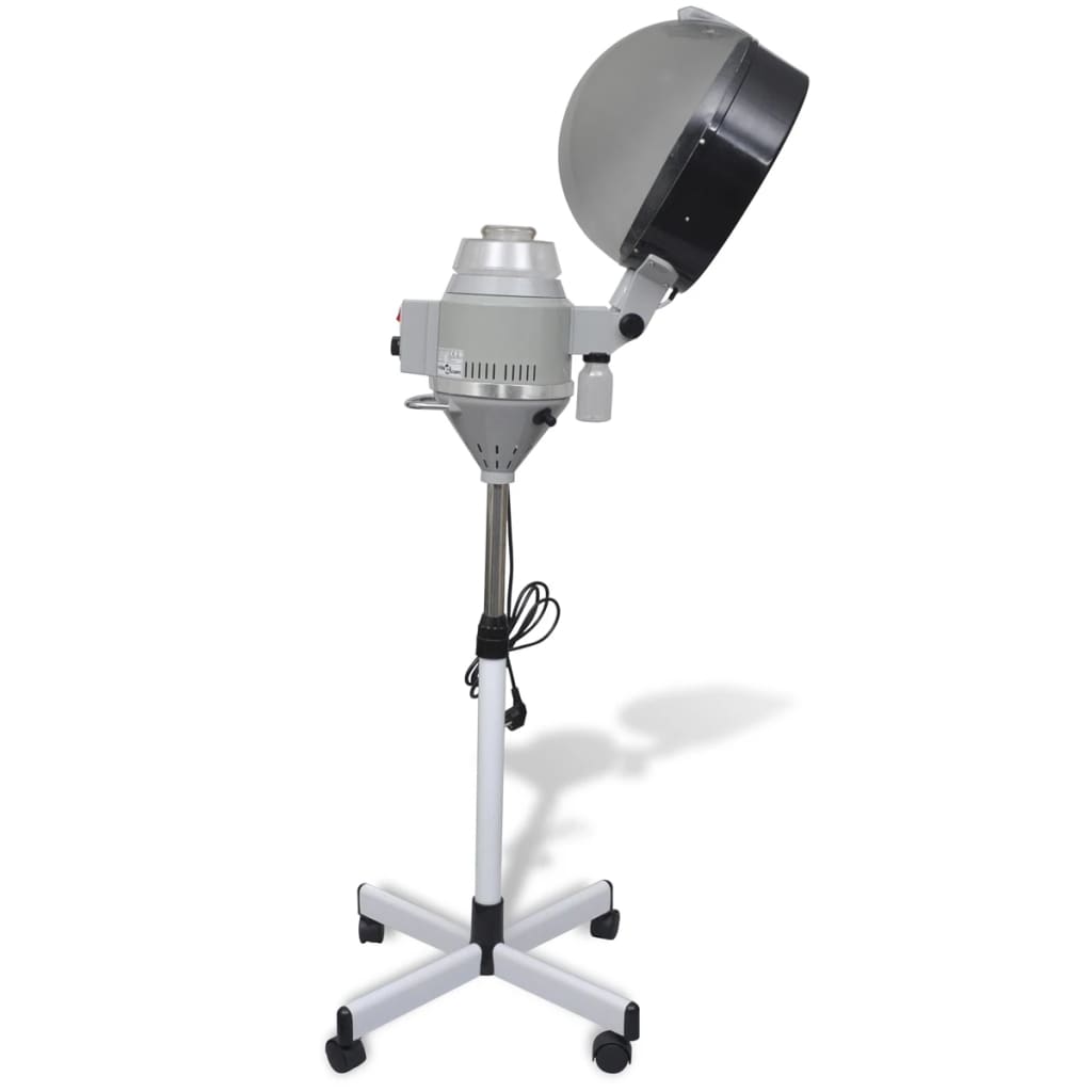 Hair Steamer on Wheels