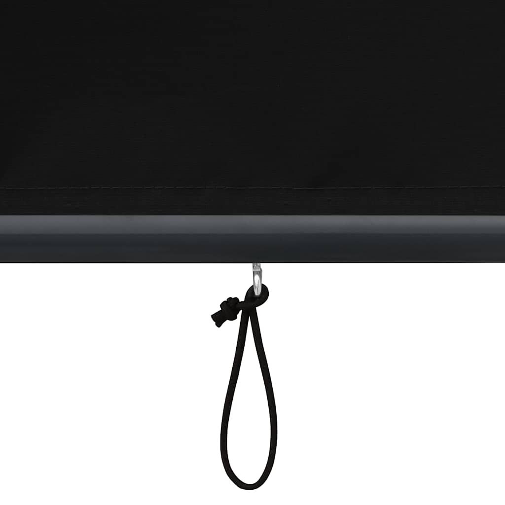 Außenrollo 60 x 250 cm Anthrazit