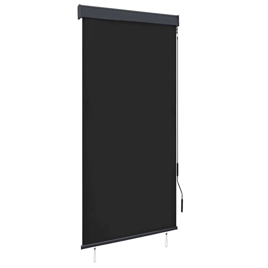 Außenrollo 100 x 250 cm Anthrazit