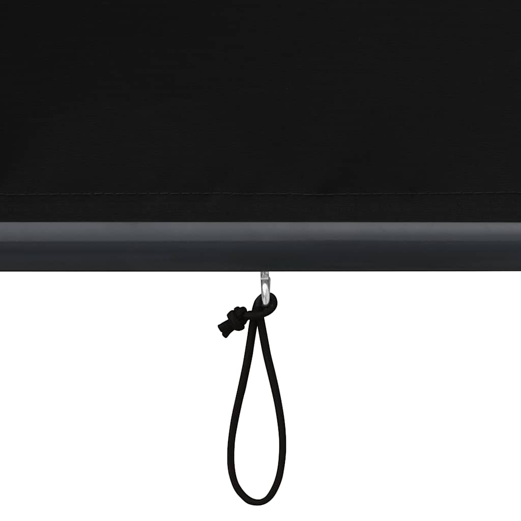 Außenrollo 120 x 250 cm Anthrazit
