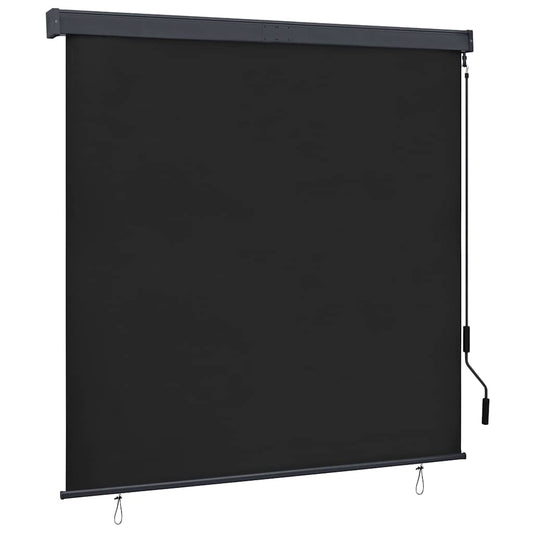 Außenrollo 160x250 cm Anthrazit