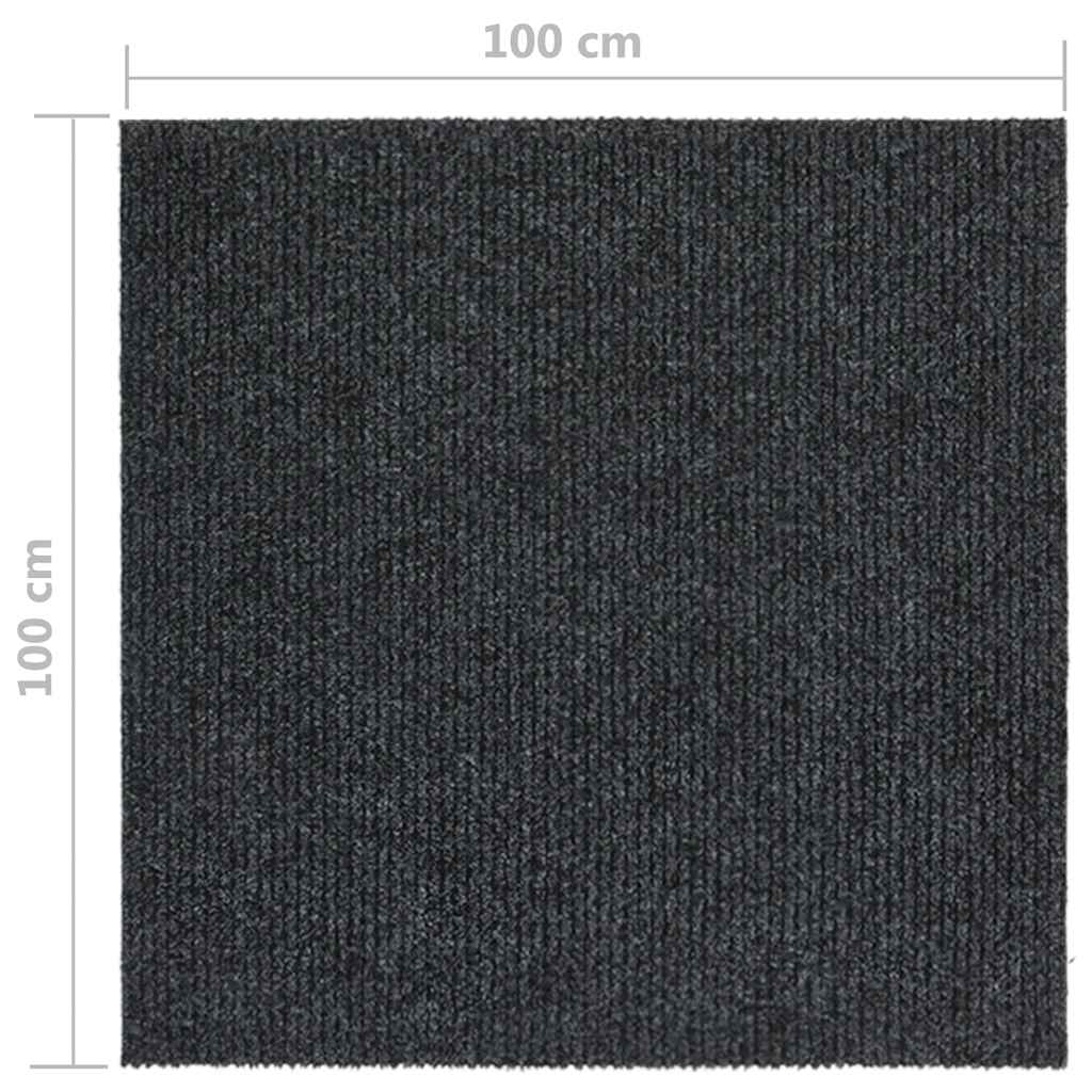 Tapis de propreté 100x100 cm Anthracite