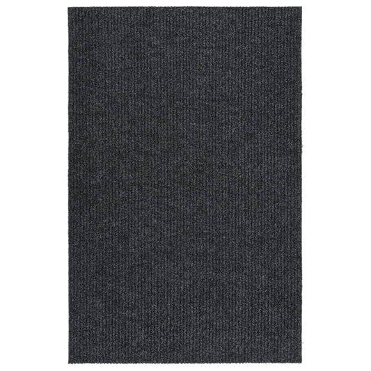 Dirt Trapper Mat 100x150 cm Anthracite