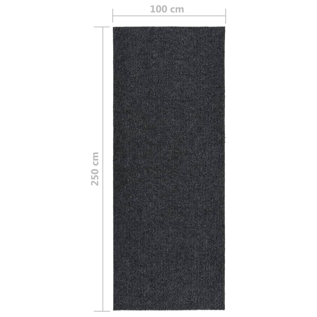 Tapis anti-salissures 100x250 cm anthracite