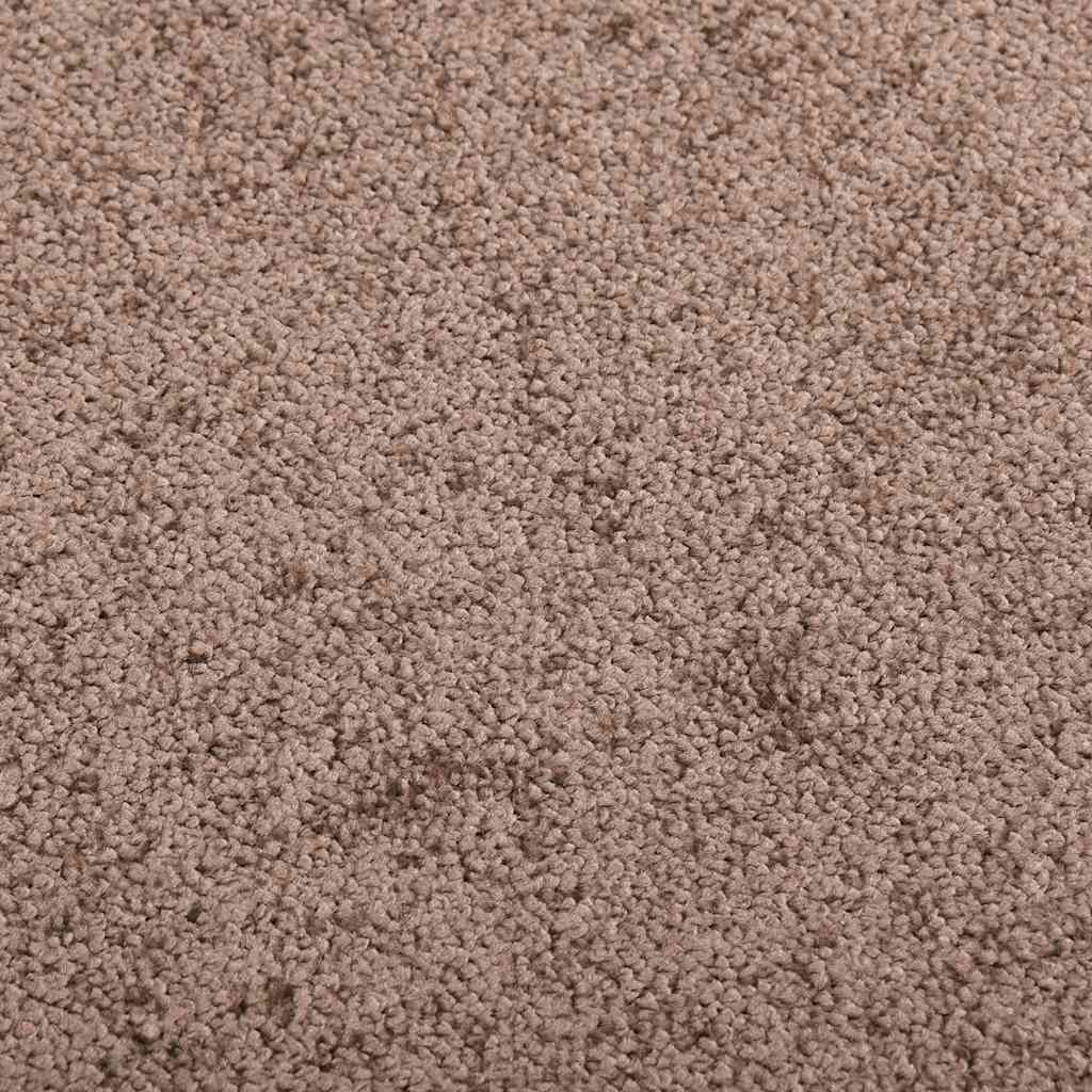 Doormat Brown 40x60 cm