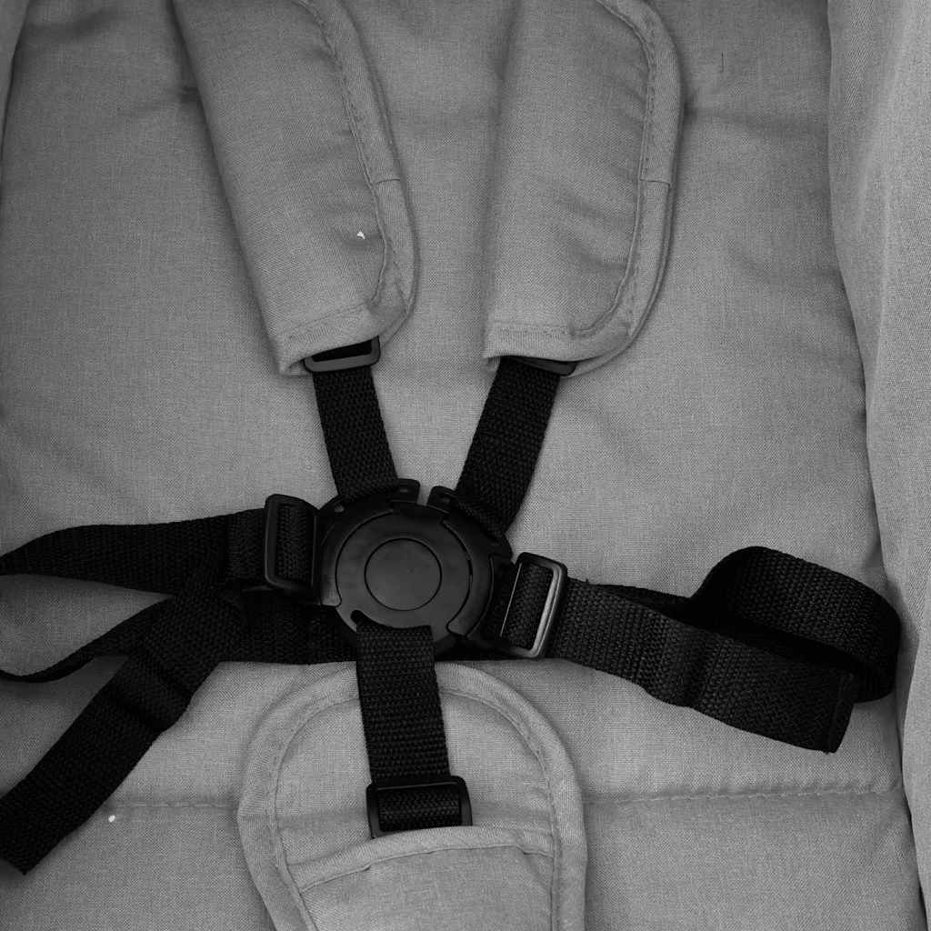 Double Stroller Light Grey and Black Steel