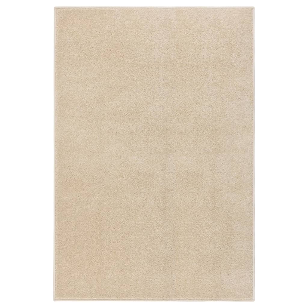 Tapis à poils ras 160x230 cm Beige