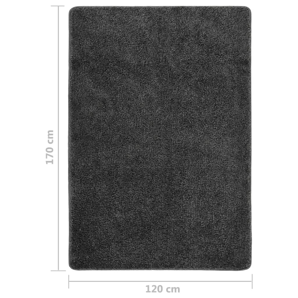 Shaggy Rug Dark Grey 120x170 cm Non-Slip
