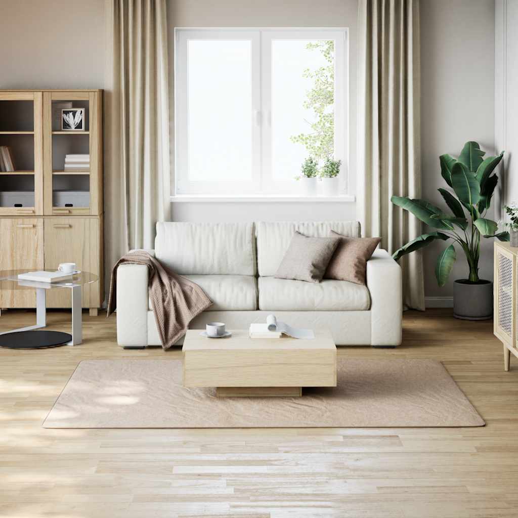 Tapis lavable Moelleux Poils courts 160x230 Antidérapant Beige