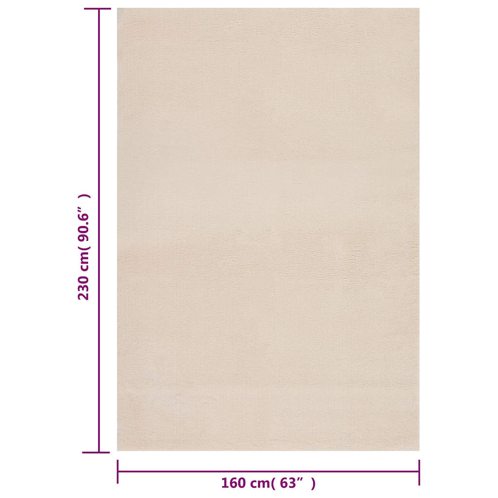 Tapis lavable Moelleux Poils courts 160x230 Antidérapant Beige