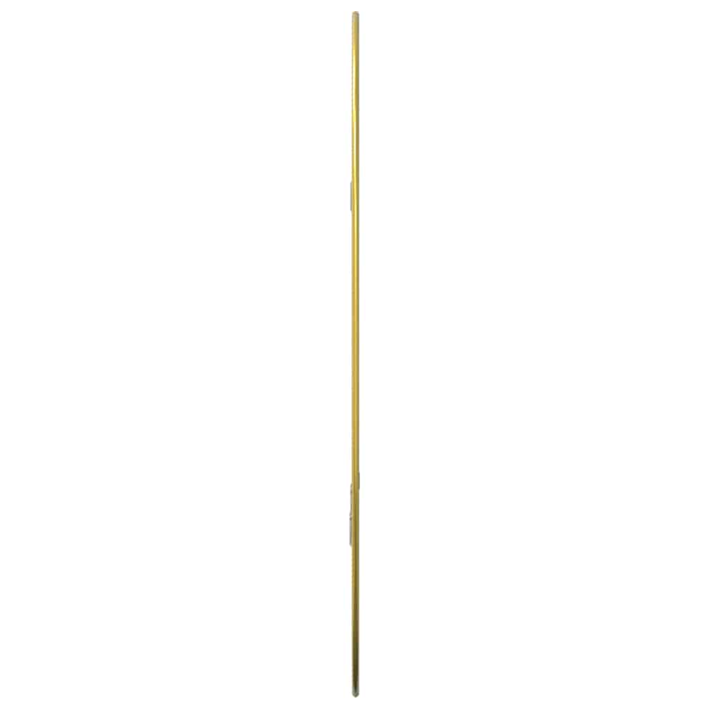 Wall Mirror Golden 60x40 cm