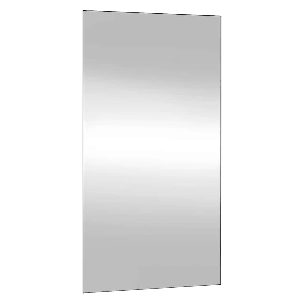 Wall Mirror 50x100 cm Glass Rectangular