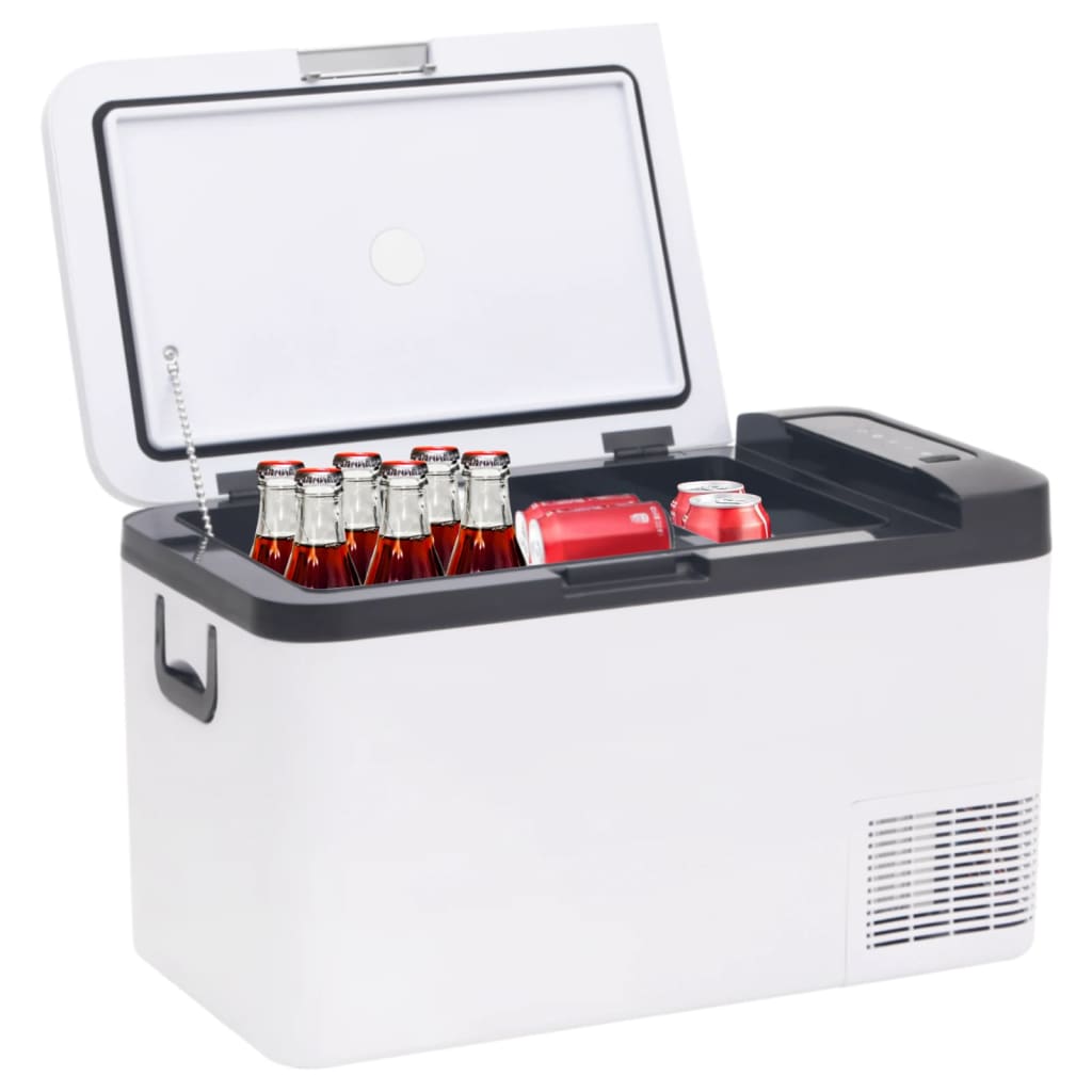Kühlbox mit Tragegriff Schwarz/Weiß 25L PP & PE