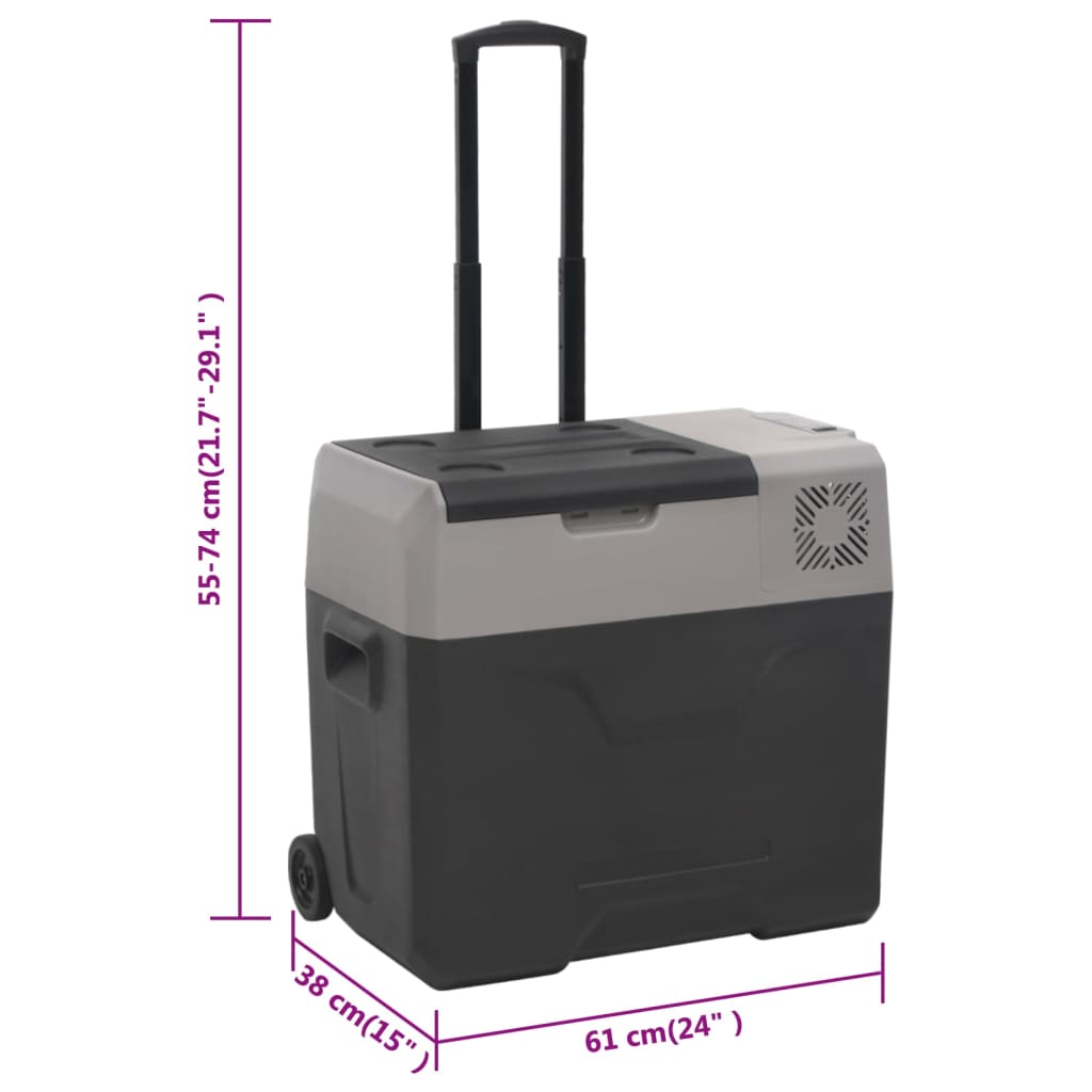 Kühlbox mit Rollen und Griff Schwarz & Grau 50 L Polypropylen