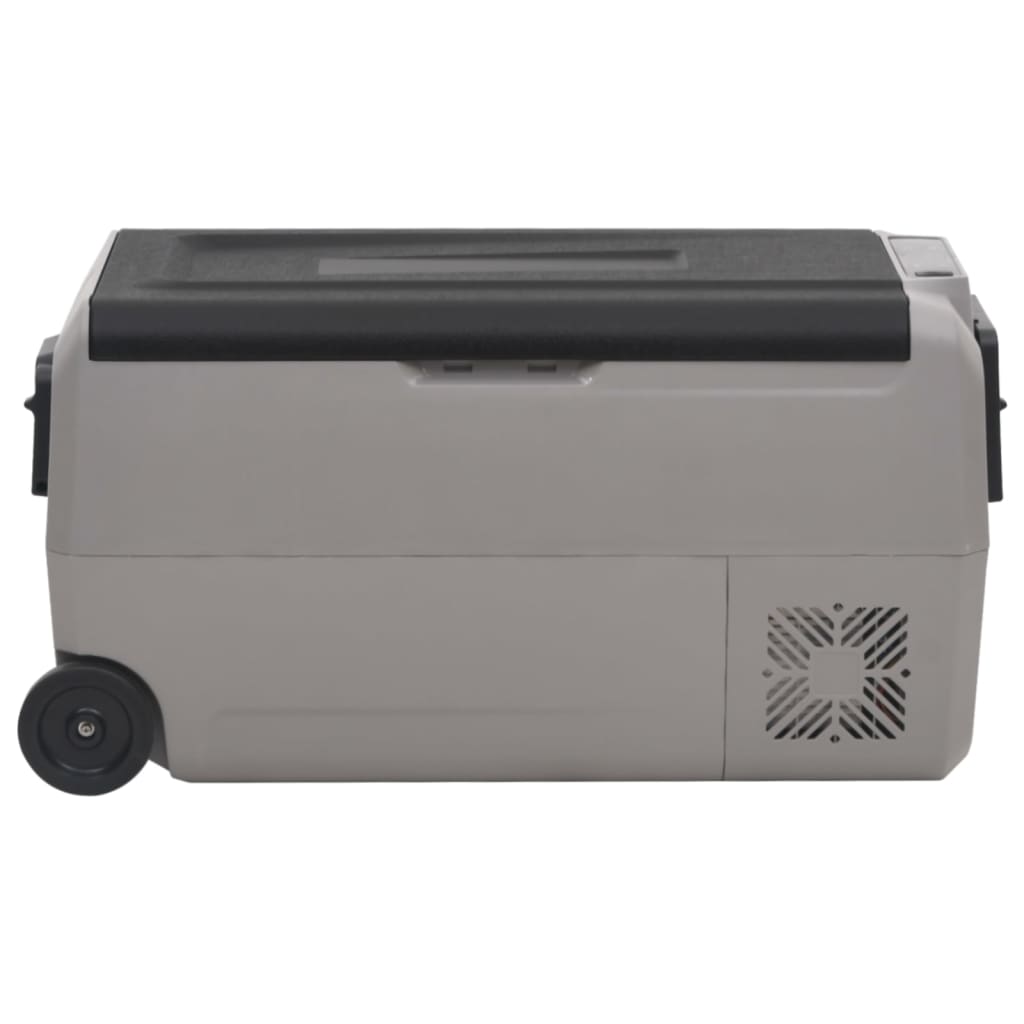 Kühlbox mit Rollen und Griff Schwarz & Grau 50 L PP & PE