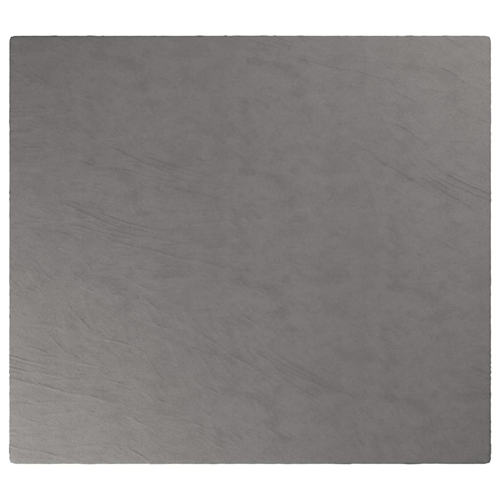 Weighted Blanket with Grey Cover 200x220 cm 9 kg Fabric