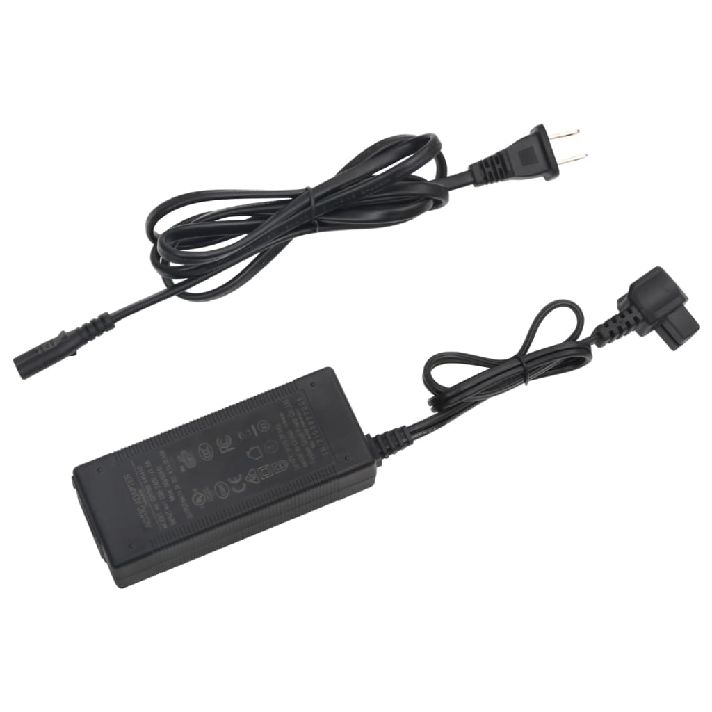 Kühlbox mit Griff und Adapter Schwarz und Weiß 18 L PP & PE