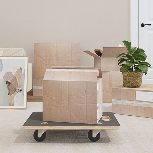 Transportroller 2 Stk. Rechteckig 60x40x11,5 cm 250 kg