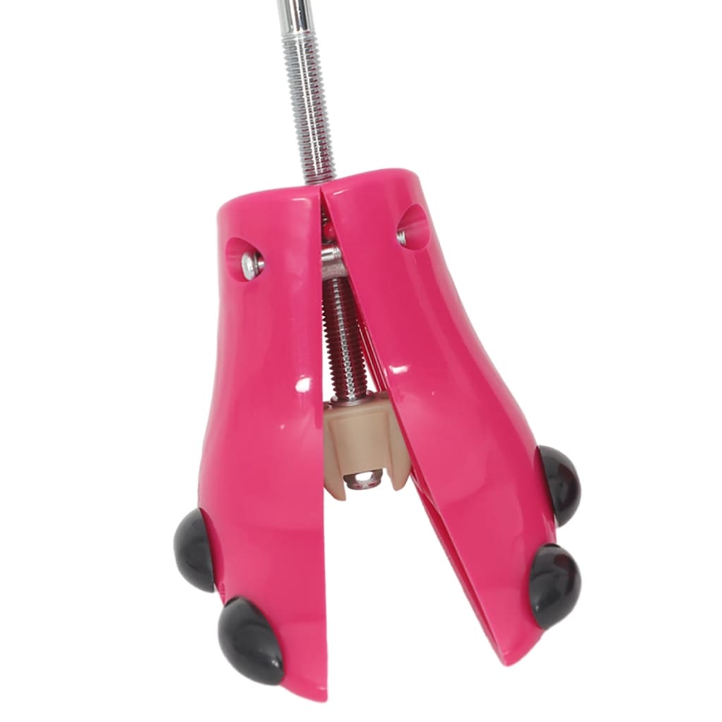 Boot Shapers with Shoehorn Pink EU 34-40 Plastic