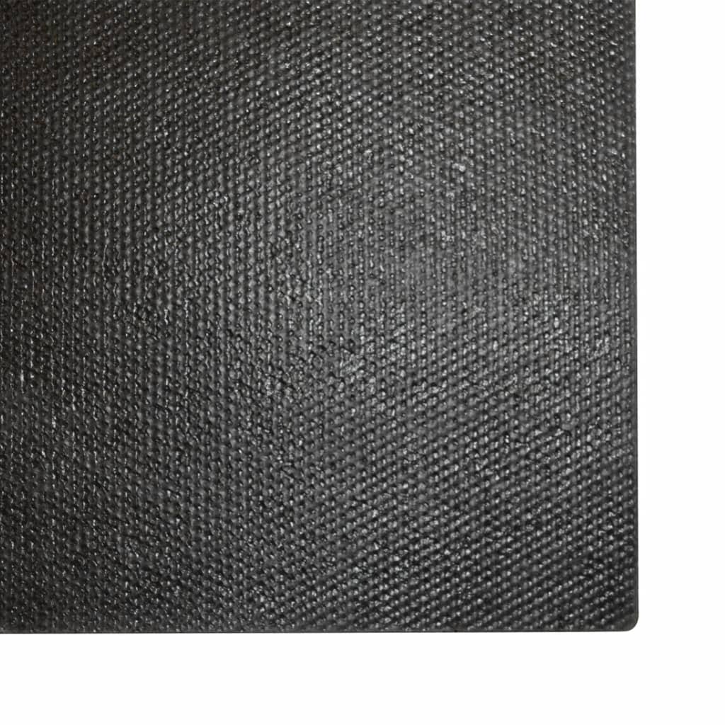 Doormat Natural 50x80 cm Coir Tufted