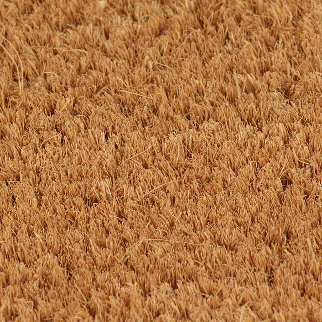 Doormat Natural 90x150 cm Coir Tufted
