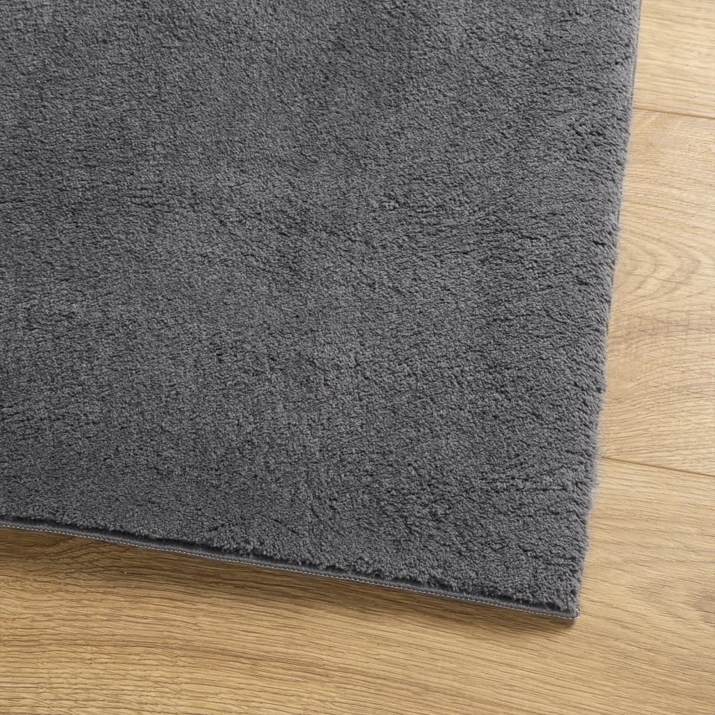 Teppich HUARTE Kurzflor Weich und Waschbar Anthrazit 120x170 cm