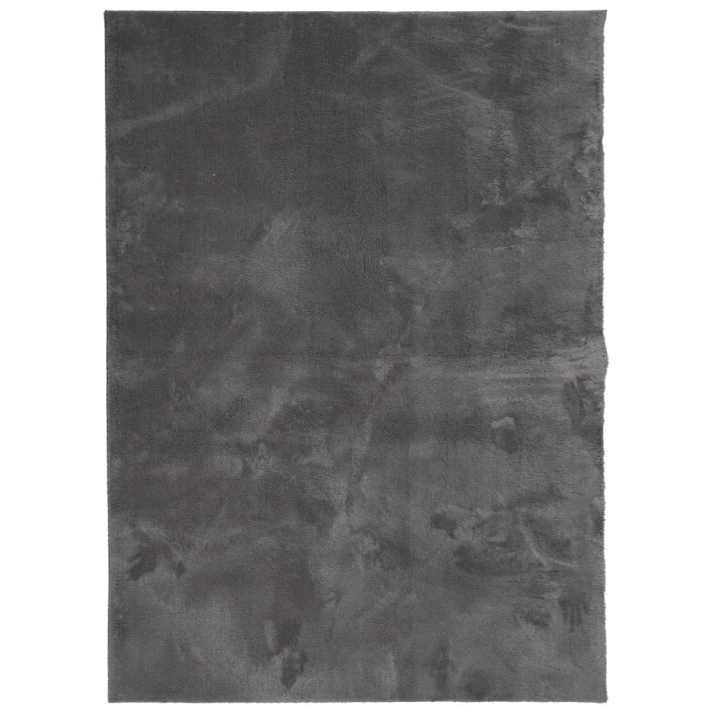 Tapis HUARTE Poils courts Doux et Lavable Anthracite 140x200 cm