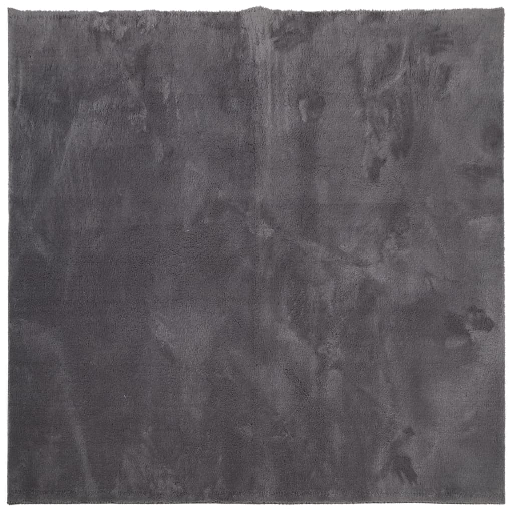 Tapis HUARTE Poils courts Doux et lavable Anthracite 160x160 cm