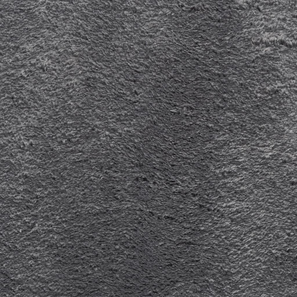 Tapis HUARTE Poils courts Doux et lavable Anthracite 160x160 cm