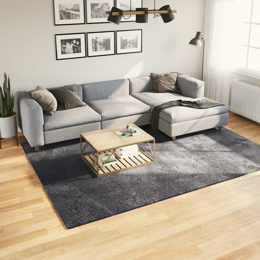 HUARTE Low Pile Rug Soft and Washable Anthracite 200x280 cm