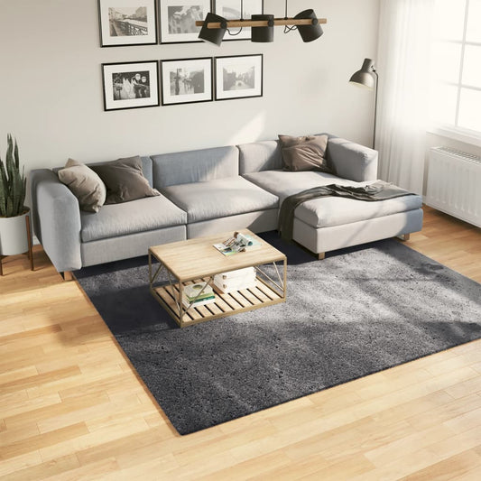 HUARTE Low Pile Carpet Soft and Washable Anthracite 240x240 cm