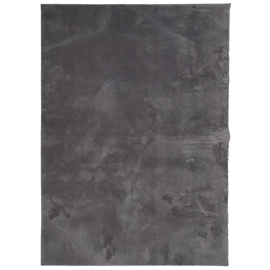 Tapis HUARTE Poils Ras Doux et Lavable Anthracite 240x340 cm