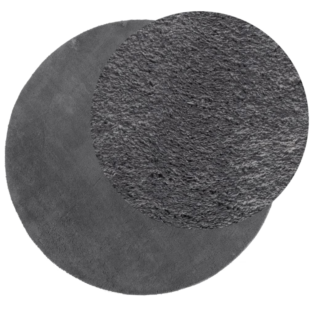 HUARTE Low Pile Carpet, Soft and Washable, Anthracite, Ø 160 cm
