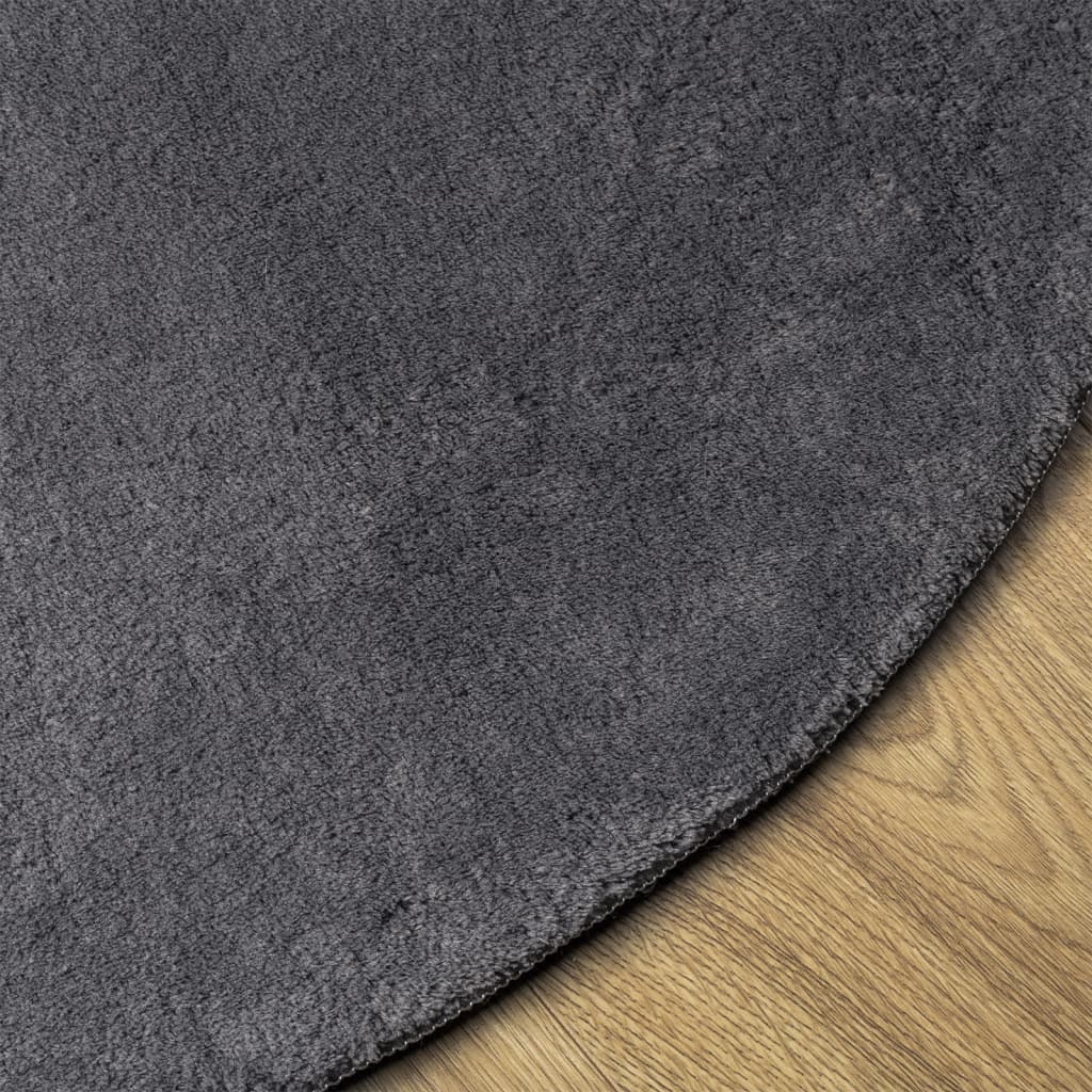 HUARTE Low Pile Carpet, Soft and Washable, Anthracite, Ø 160 cm