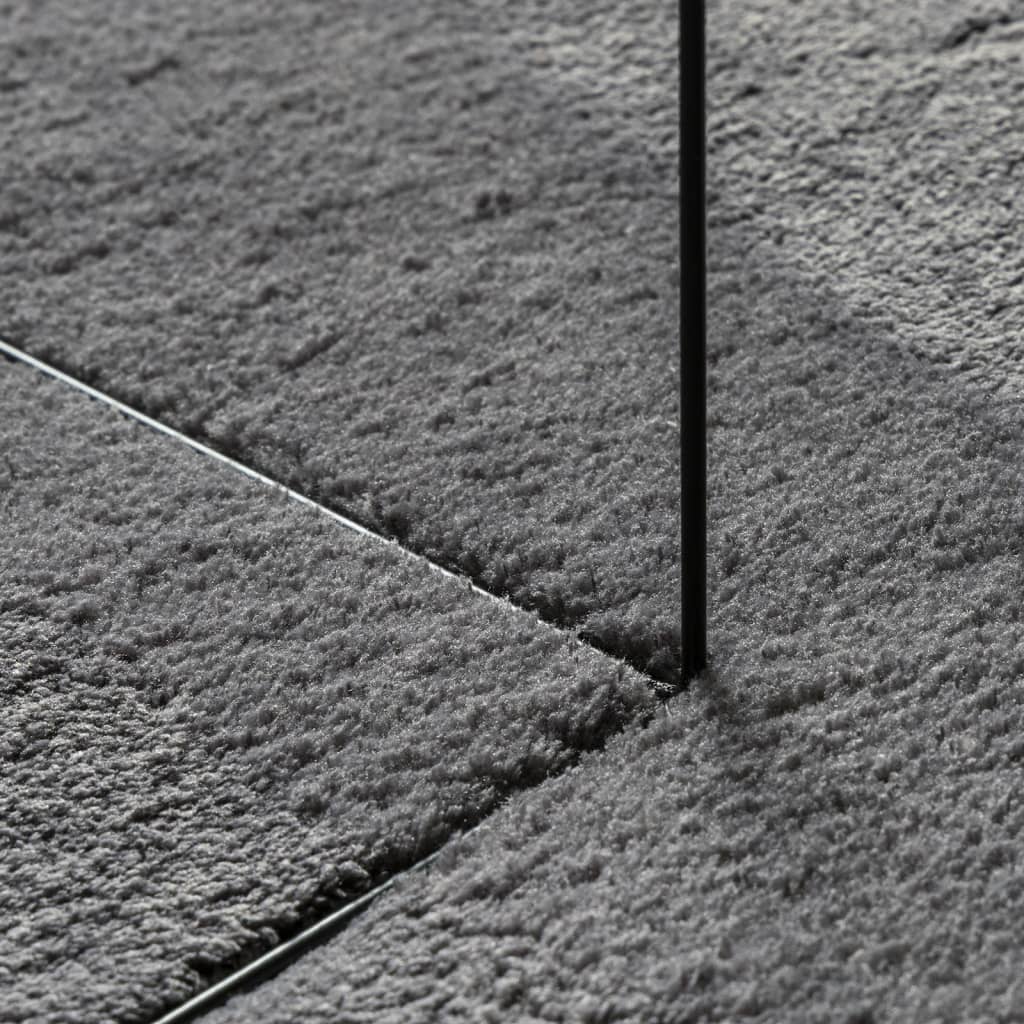 HUARTE Low Pile Carpet, Soft and Washable, Anthracite, Ø 160 cm