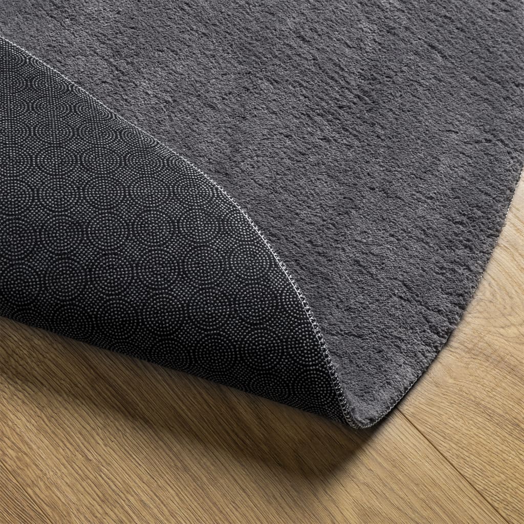 Rug HUARTE Low Pile Soft and Washable Anthracite Ø 200 cm