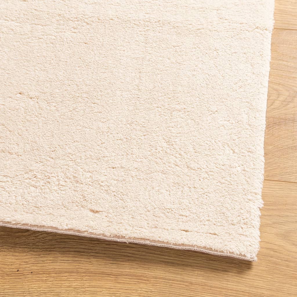 Carpet HUARTE Low Pile Soft and Washable Beige 100x200 cm