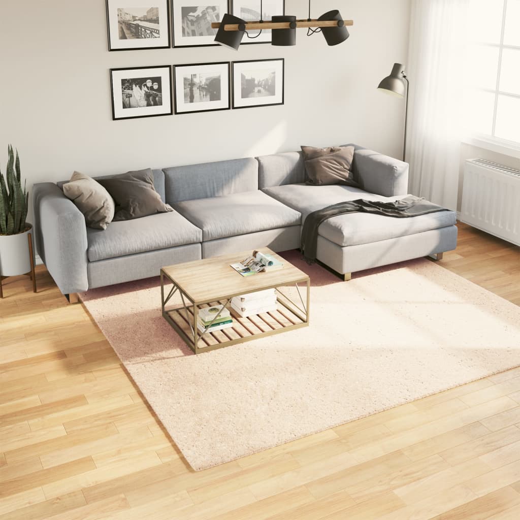 Carpet HUARTE Low Pile Soft and Washable Beige 240x240 cm