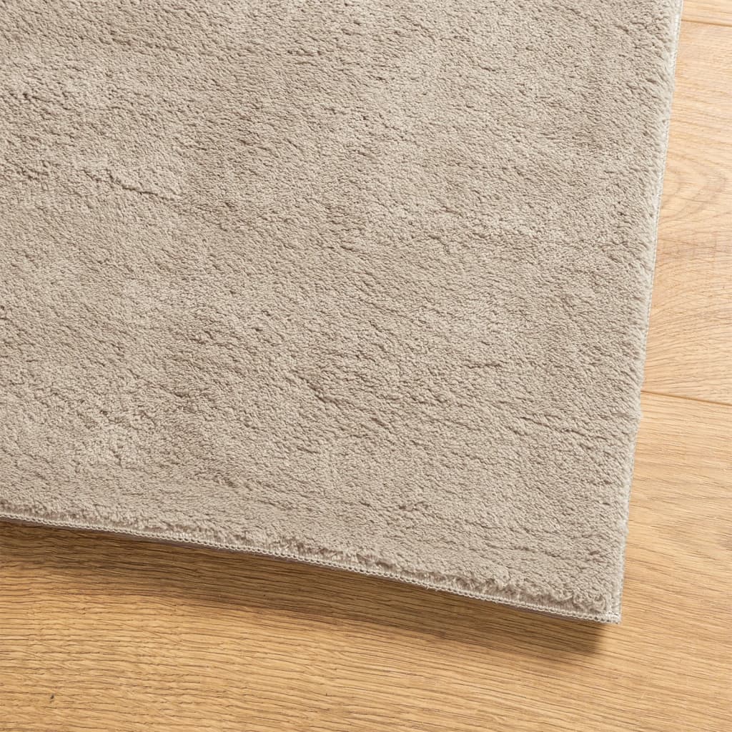 HUARTE Low Pile Rug Soft and Washable Sand-colored 100x200cm