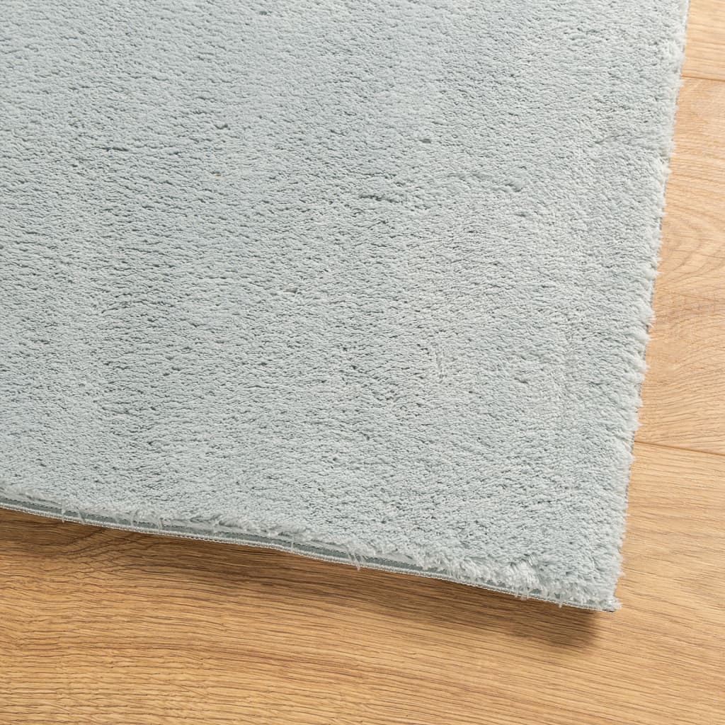 Carpet HUARTE Low Pile Soft and Washable Blue 160x230 cm